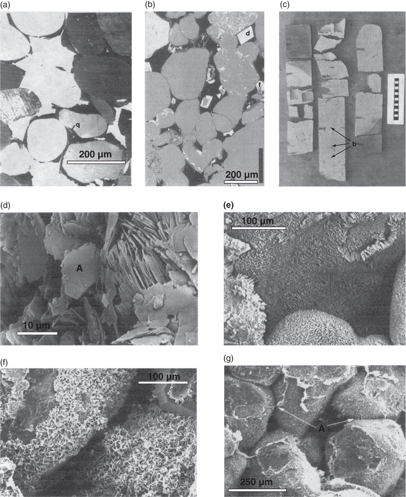 Diagenetic mineral habits in sandstones. (a) Quartz-cemented quartz arenite, Fontainebleau Sandstone, Paris Basin, France. (b) Dolomite with ferroan dolomite rims (d), occurring as a scattered pore-filling cement, Rotliegend Sandstone, Amethyst Field, UK North Sea. (c) Pervasive calcite cement occurring as a concretion within a porous and permeable sandstone, Ula Sandstone, Norwegian North Sea. (d) Pore-filling kaolinite (A), Magnus Sandstone, Magnus Field, UK North Sea. (e) Grain-coating chlorite cement, Tuscoloosca Sandstone, Louisiana, USA. (f) Grain-coating smectite, Tertiary sandstone, UK Western Margin. (g) Fibrous, grain-coating illite, Tertiary sandstone, UK Western Margin. (a) Quartz-cemented quartz arenite, Fontainebleau Sandstone, Paris Basin, France.  (b) Dolomite with ferroan dolomite rims (d), occurring as a scattered pore-filling cement, Rotliegend Sandstone, Amethyst Field, UK North Sea. (c) Pervasive calcite cement occurring as a concretion within an otherwise porous and permeable sandstone, Ula Sandstone, Norwegian North Sea. (d) Pore-filling kaolinite (A), Magnus Sandstone, Magnus Field, UK North Sea. (e) Grain-coating chlorite cement, Tuscoloosca Sandstone, Louisiana, USA. (f) Grain-coating smectite, Tertiary sandstone, UK Western Margin.