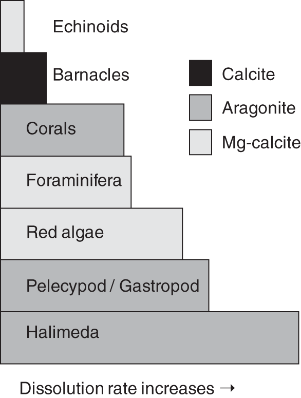 Illustration of the solubility of carbonate sediment grains in sea water as a function of mineralogy and sediment origin.