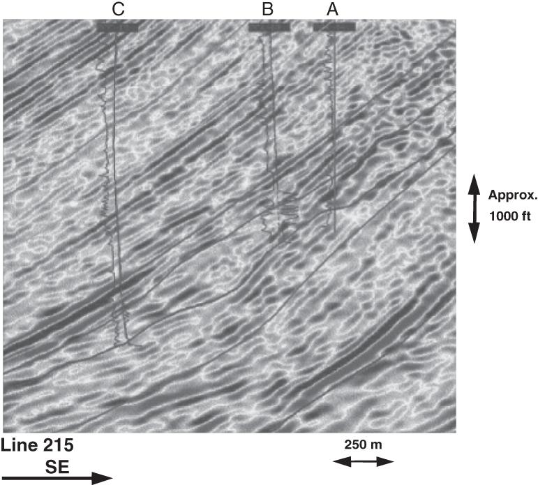 A seismic line overlaid with wireline curves from wells, Pedernales Field, eastern Venezuela.