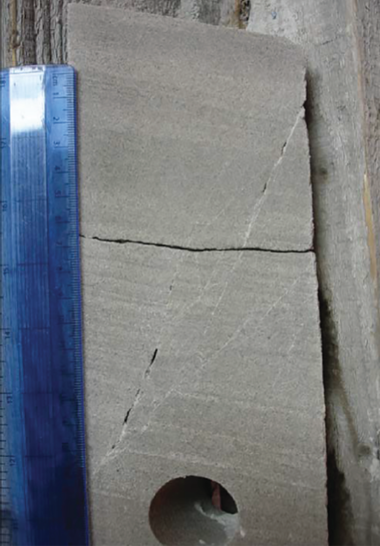 Photograph depicting partially open and partially cemented fractures, Lower Permian Rotliegend Sandstone, Ensign Field, well 48/15–5, UK North Sea.