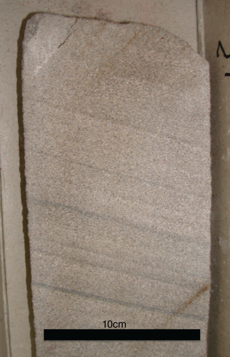 Image of a cross-laminated eolian dune Permian sandstones that form the reservoir interval within Clipper South Field.