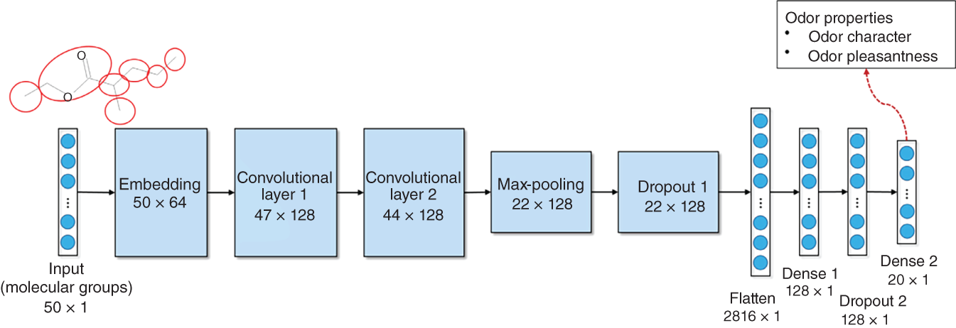An image illustrates the C N N model consists of a 50x1 input molecular groups, a 50×64 embedding layer, a 47×128 convolutional layer, a 44×128 convolutional layer, a 22×128 max-pooling layer, a 22×128 dropout layer, a 2816×1 flatten layer, a 128×1 dense layer, another 128×1 dropout layer, and a 20×1 dense layer.