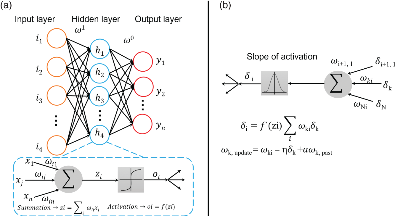 A. A neural network architecture represents three layers input layers, hidden layers, and output layers. B. A backpropagation calculation algorithm in a neural network. It includes a diagram of a single neuron with incoming weights, outgoing weights, slope of activation.