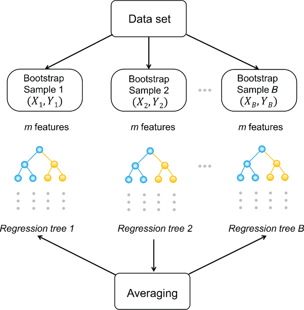 A flowsheet illustrating the random forest method. The process begins with a given data set and the data set is then divided into multiple bootstrap samples. For each bootstrap sample, a subset of features m is randomly selected. Using each bootstrap sample and the selected features, a regression tree is created. The final model output is obtained by averaging the predictions from all the regression trees.