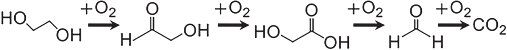 A chemical reaction pathway starts with a molecule that contains hydroxyl groups -OH and proceeds through several steps to ultimately produce carbon dioxide C O subscript 2.