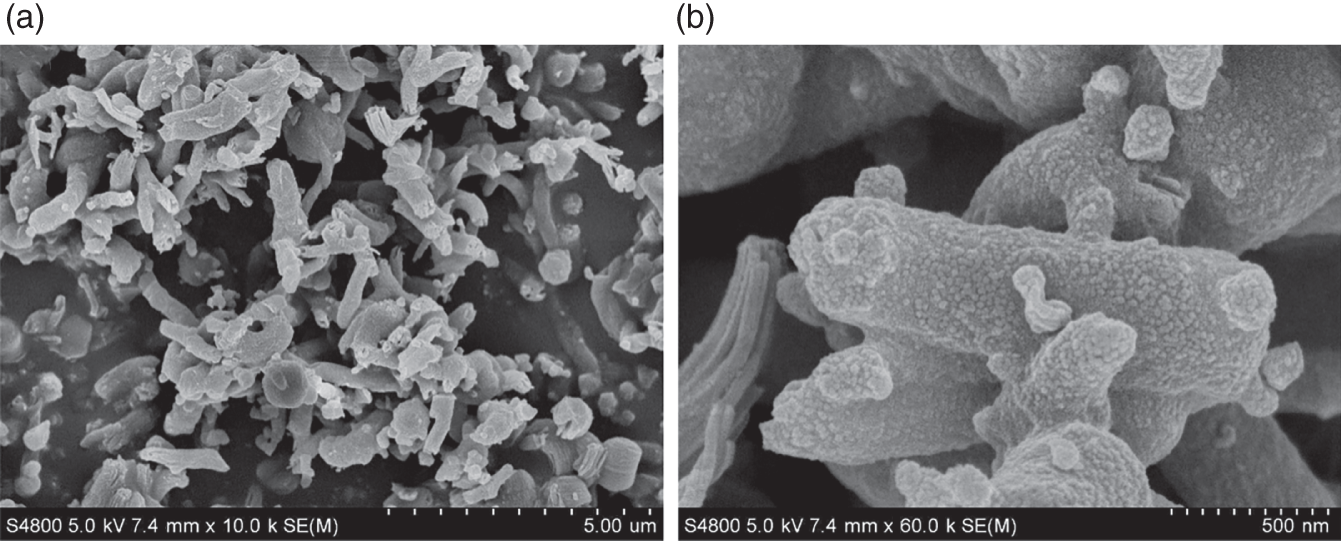 A. S E M image displays the structure of M C M-41. B. A S E M image of the e Pt Mn/M C M-41 (In-70).