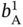 b Subscript normal upper A Superscript 1