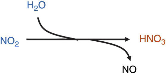 An illustration of a chemical reaction shows nitrogen dioxide reacting with water. An arrow splits in two, one leading to nitric oxide, the other to nitric acid.