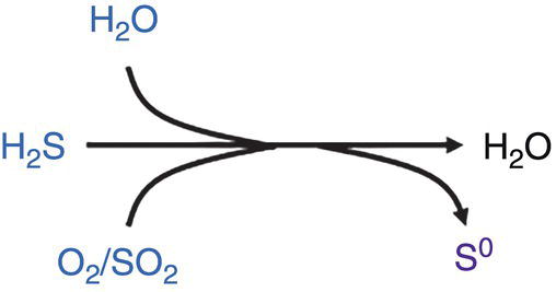 An illustration of a chemical reaction shows hydrogen sulfide entering from the left, converting to water on the right with a rightward arrow. A downward arrow splits, showing elemental sulfur formation. Inputs at the bottom are oxygen over sulfur dioxide, leading to the reaction pathways.
