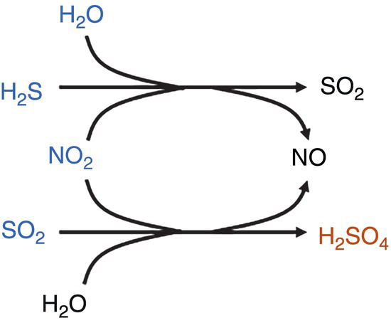 An illustration of a chemical reaction shows hydrogen sulfide and nitrogen dioxide merging into two streams. One stream leads to sulfur dioxide, the other to nitric oxide. Separately, sulfur dioxide and water merge into sulfuric acid. The pathways are depicted with arrows indicating the flow of reactants to products