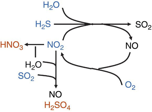 An illustration of a chemical reaction. Starting with hydrogen sulfide, it diverges to sulfur dioxide and nitric oxide. Nitric oxide converges from nitrogen dioxide, into NO2. Nitric acid and sulfur dioxide intersecting in water lead to sulfuric acid. Loops connect H2S to NO, and NO2 to NO, all labeled with the respective chemicals.