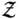 bold-script