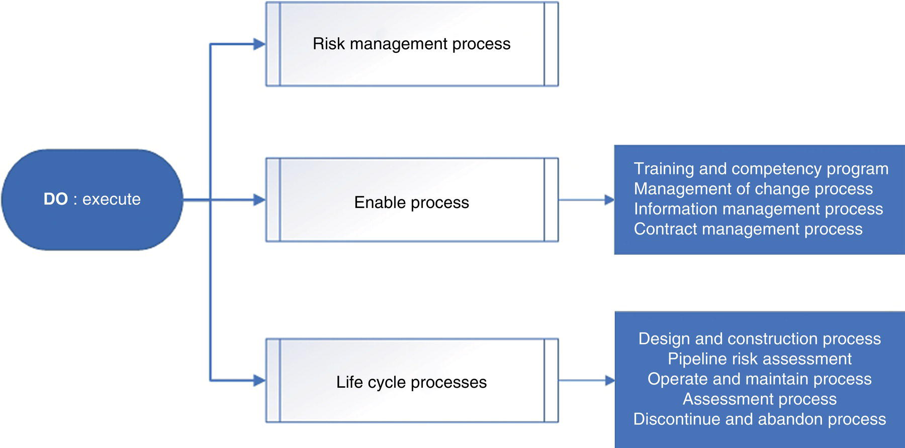 A flowchart illustrates the execution steps. An oval on the left labeled DO execute points with arrows to three rectangular sections on the right: Risk management process. Enable process with sub-processes. Life cycle processes with sub-processes are listed below.