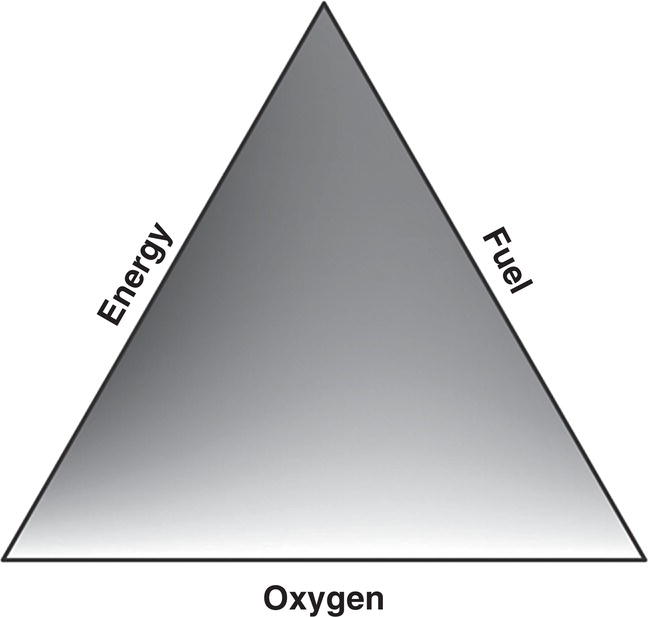 A shaded triangle represents the fire triangle. The three sides are labeled: energy on the left, fuel on the right, and oxygen at the base.