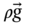 rho ModifyingAbove g With right-arrow