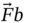 ModifyingAbove upper F With right-arrow b
