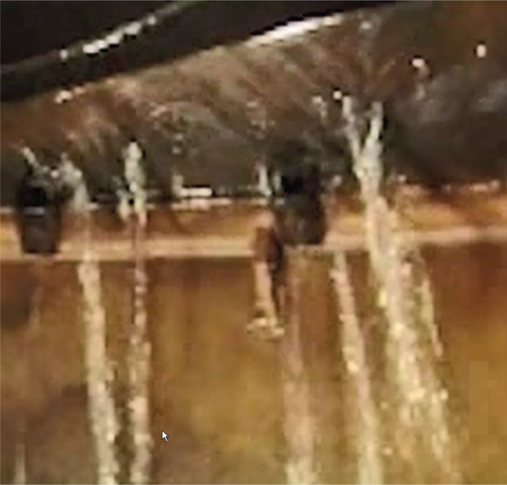 A photograph of a distillation tower with liquid leaking from various points.