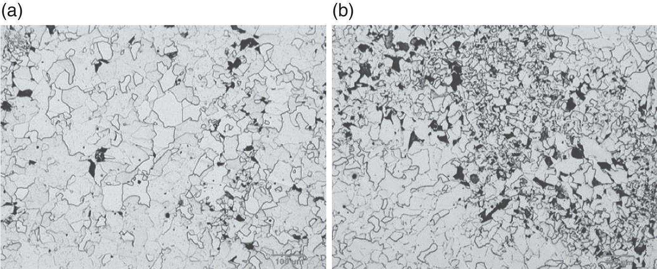 A side-by-side comparison of two microstructure images labeled a and b. Both show a network of dark, irregular shapes against a lighter background. Image a has more defined, larger shapes, while b displays a denser and more intricate pattern.
