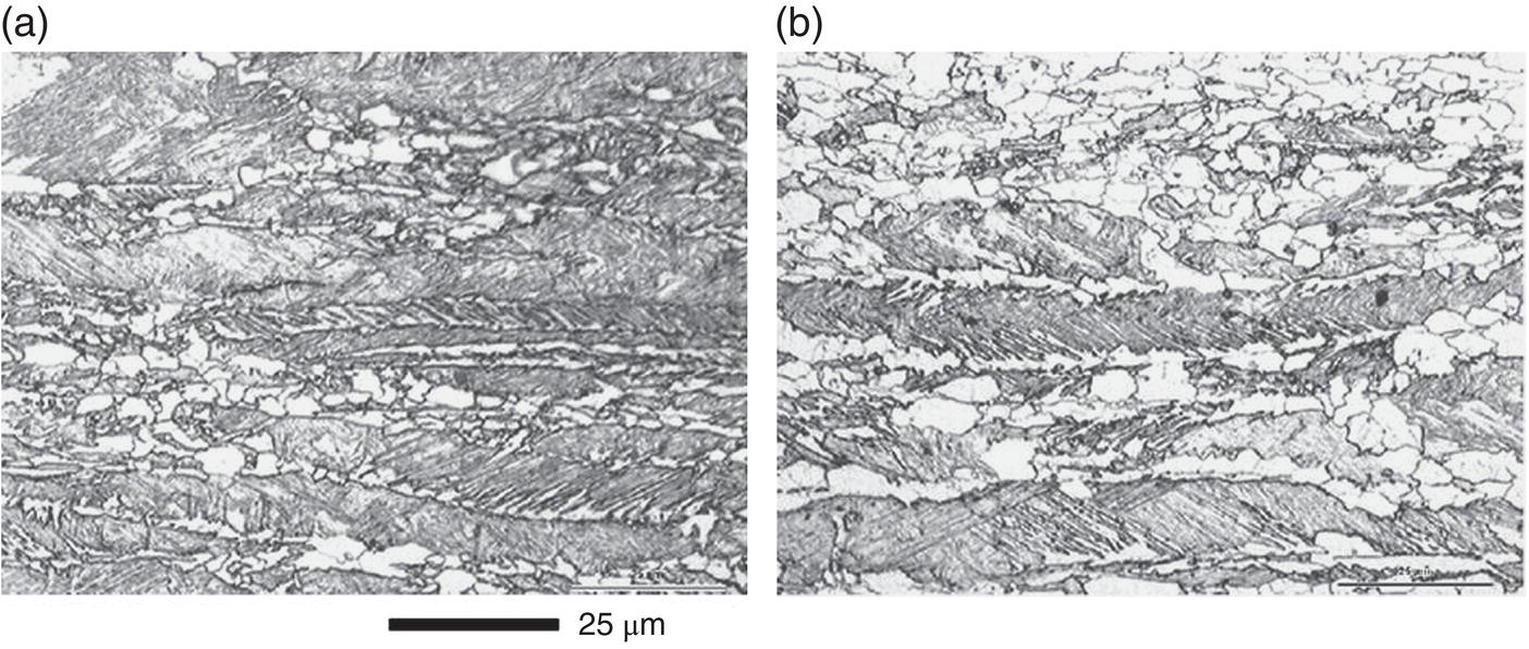 Side-by-side micrographs labeled a and b shows the microstructure of a material. Both images feature fibrous, layered structures with scattered round inclusions, indicating porous regions. The scale bar is 25 micrometers.