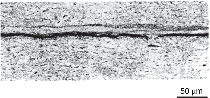 A microscopic image shows a cross-section of material with a prominent horizontal crack running through it. The texture appears granular and uneven. A scale bar in the bottom right indicates a measurement of 50 micrometers.