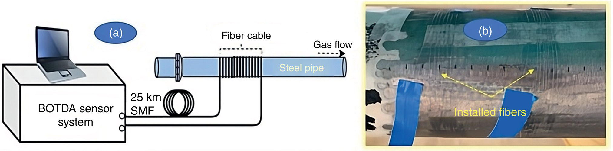 A left section features a schematic diagram of a B O T D A sensor system connected to a laptop. A fibre cable runs through a steel pipe where gas flows, with a specification of 25 kilometres of single-mode fibre. The right section displays a close-up view of the steel pipe, where multiple installed fibres are highlighted. Horizontal and vertical markings on the pipe indicate areas of interest related to the fibre installation. Arrows point toward the installed fibres, emphasizing their arrangement along the pipe’s surface.
