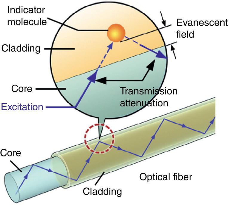 A diagram illustrates a fibre optic setup containing a core and cladding. At the centre, an indicator molecule interacts with the evanescent field surrounding it. The core facilitates the transmission of light, while the cladding surrounds it, preventing loss of signal. An excitation source initiates light transmission. Transmission attenuation occurs, representing signal loss as light travels through the optical fibre. The dashed circle highlights the area of interaction between the evanescent field and the indicator molecule within the cladding.
