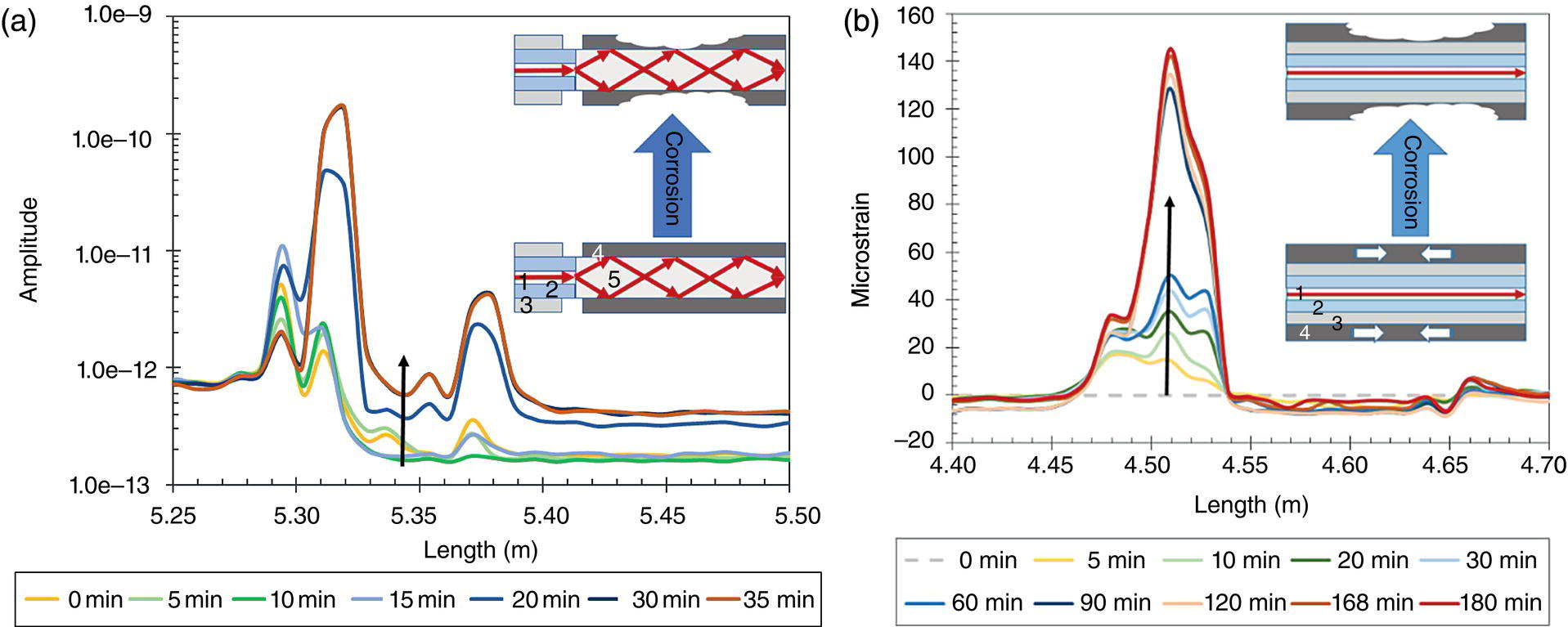 An image presents two graphs labelled a and b with multiple data lines plotted against a length axis. Graph a illustrates amplitude measured along a length of 5.25 to 5.50 meters, with different line thicknesses indicating time intervals from 0 to 35 minutes. An inset highlights a structural illustration related to corrosion. Graph b highlights micro strain along a length of 4.40 to 4.70 meters, featuring data lines for time intervals ranging from 0 to 180 minutes. Another inset focuses on a structural diagram addressing corrosion effects.