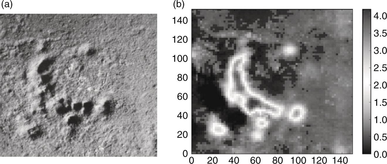 A left section presents a textured surface, featuring raised and recessed areas that create a rugged terrain appearance. This variety in elevation may indicate geological features or formations. On the right side, a grayscale representation highlights distinct patterns and clusters, likely indicating regions of varying intensity. A vertical bar on the right illustrates a scale from zero to four, suggesting measurement values linked to the observed features. Overall, the layout consists of two distinct visual analyses of a similar subject matter, emphasizing different aspects of the terrain.