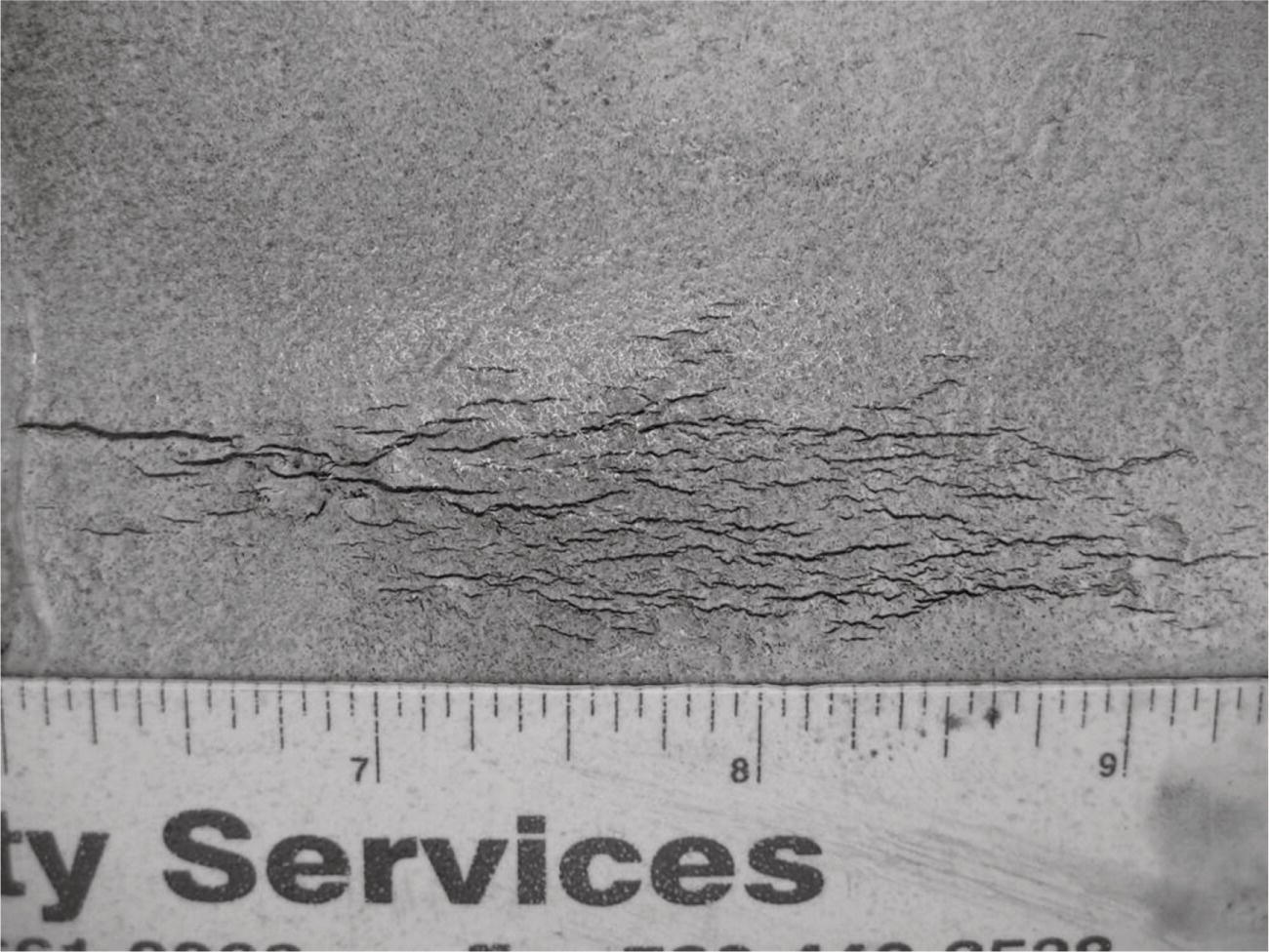 A textured surface features a prominent crack running horizontally across the middle. The crack is intricate, resembling a web of fine lines branching out in various directions. Beneath the crack, a ruler with the label Quality Services is visible, providing a scale for measurement. The surface appears to be a solid material, possibly concrete, with an even Gray tone. The overall composition highlights the contrast between the smooth area and the detailed fissure, emphasizing the structural integrity issue present in the material.