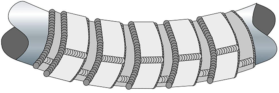 An image presents a curved cylindrical pipe or conduit with multiple reinforcement bands wrapped around it. The pipe appears to be segmented with light-coloured sections separated by dark Gray reinforcement rings. These reinforcement bands have a textured pattern suggesting weld material or threaded connections. The reinforcement rings are positioned at regular intervals along the entire length of the curved pipe. The ends of the pipe are capped with darker Gray material. The overall structure resembles a flexible pipe joint or a reinforced bent pipe section commonly used in industrial applications.