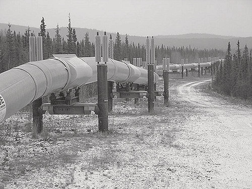 A large pipeline stretches across a snowy northern landscape, supported by vertical metal pillars along its route. The pipeline extends into the distance, following a curved path through a forest of evergreen trees. The terrain appears remote, with hills visible on the horizon. A maintenance road runs parallel to the pipeline. The monochrome photograph captures part of an oil or gas transportation system in a wilderness setting, likely in Alaska or northern Canada.