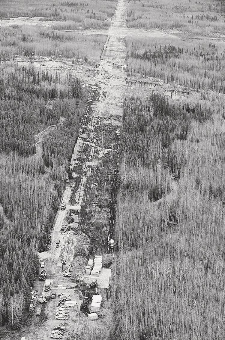 An aerial photograph captures a long, straight pathway or cleared corridor cutting through a dense forest. The pathway is under construction or development, with various materials, equipment, and cleared areas visible along its length. The surrounding forest consists of numerous trees and vegetation extending across the landscape. Small clearings or water features can be spotted in the forest. The contrast between the linear human intervention and the natural forest environment is stark in this bird's-eye perspective.