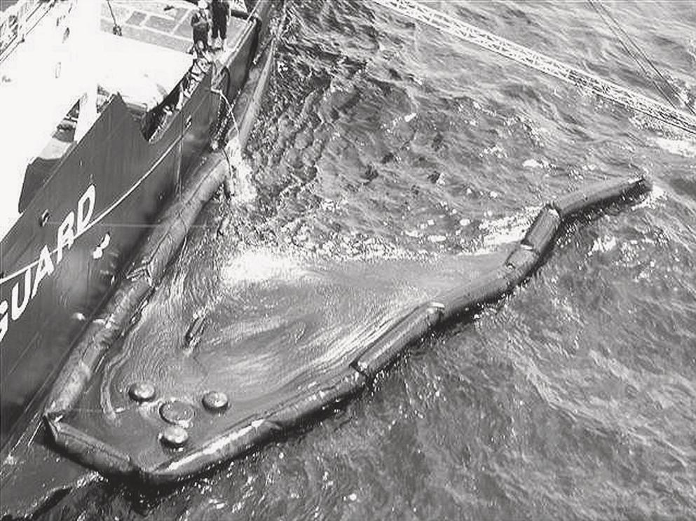 An aerial photograph captures a marine vessel, likely a Coast Guard boat, alongside a whale or large marine mammal floating in rough waters. The marine mammal has a distinctive streamlined body with visible fins or flippers visible against the textured surface of the ocean. The water surrounds both the vessel and the marine creature, creating ripples and patterns across the frame. The perspective suggests this might be a rescue operation or monitoring of the marine mammal.