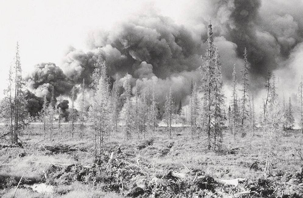 A photograph captures a forest area with numerous bare, skeletal trees standing against a dramatic backdrop of thick, billowing smoke or clouds. The trees appear damaged or dead, with thin trunks and branches but little foliage. The ground is uneven and rough, with scattered debris or vegetation. In the background, massive plumes of dark smoke rise into the sky, suggesting a forest fire or other large-scale environmental event in progress. The contrast between the stark trees in the foreground and the ominous smoke creates a haunting, apocalyptic atmosphere.