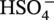 upper H upper S upper O 4 Superscript minus