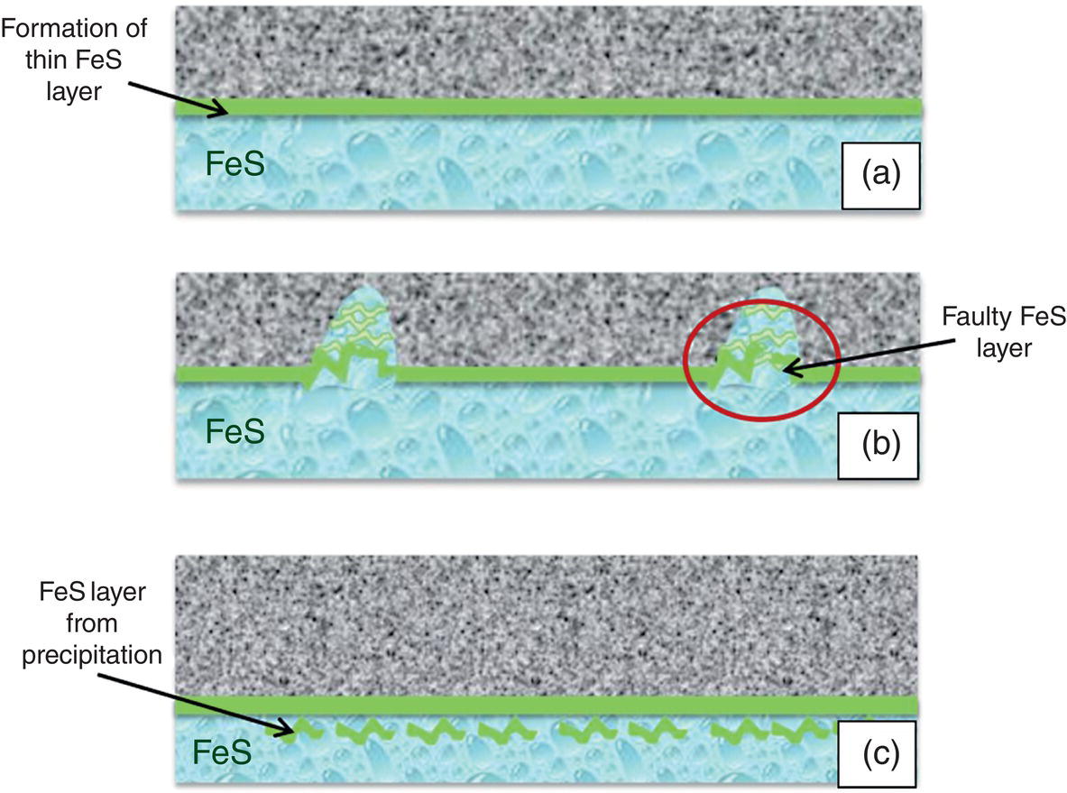 An image presents a three-stage progression of F e S layer formation and degradation labelled a, b, and c. In stage a, a thin F e S protective layer forms on a metal surface, indicated by an arrow pointing to the interface line. Stage b illustrates a faulty F e S layer with a defect highlighted by a circular outline and arrow. Stage c displays an F e S layer formed through precipitation creating an uneven surface pattern. Each image has a textured Gray upper region representing metal with a lighter lower section displaying water droplets beneath the F e S layer. Labels clearly identify each phase of the corrosion mechanism.