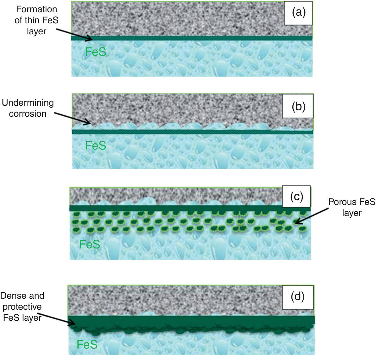 An image displays four cross-sectional diagrams labelled a through d illustrating different states of iron sulphide layer formation and corrosion. A thin F e S layer is forming on a substrate. Undermining corrosion is occurring beneath the F e S layer. A porous F e S layer is with visible holes throughout the structure. A dense and protective F e S layer is providing better coverage. Each diagram includes text annotations with arrows pointing to the specific features. The diagrams is a microscopic or schematic representations of material degradation and protection mechanisms in what looks like a corrosion study of iron sulphide formations.
