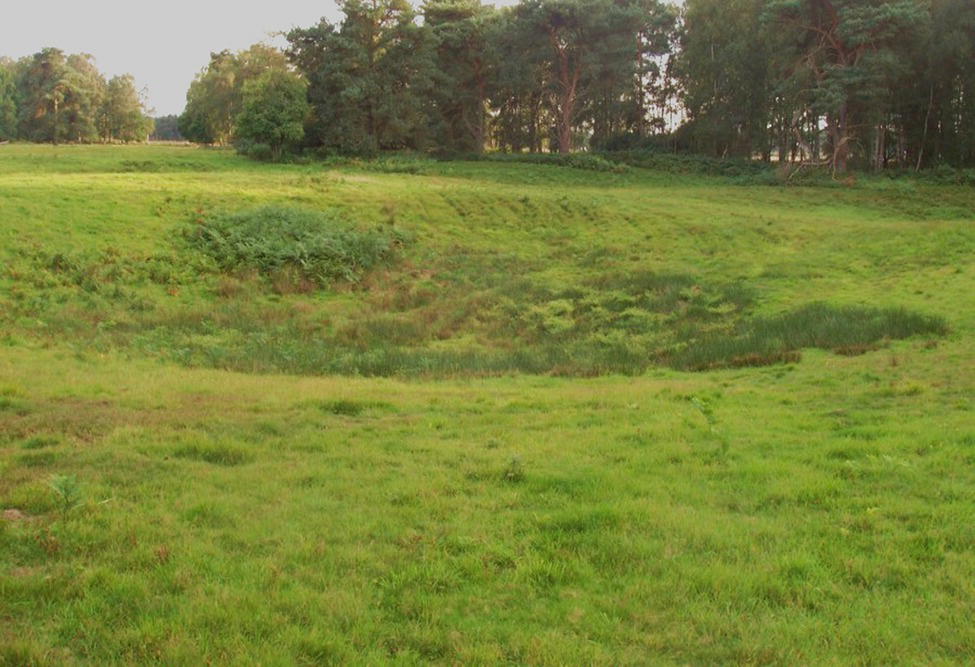 A photograph captures a grassy field with a noticeable circular depression or shallow basin in the middle ground. This depression appears to be a natural hollow or possibly a dried pond. The terrain rises gently beyond the depression toward a dense tree line that forms the background. Tall trees create a defined horizon against the sky. The grassy area in the foreground has varied textures, with shorter grass in some areas and taller vegetation in others.