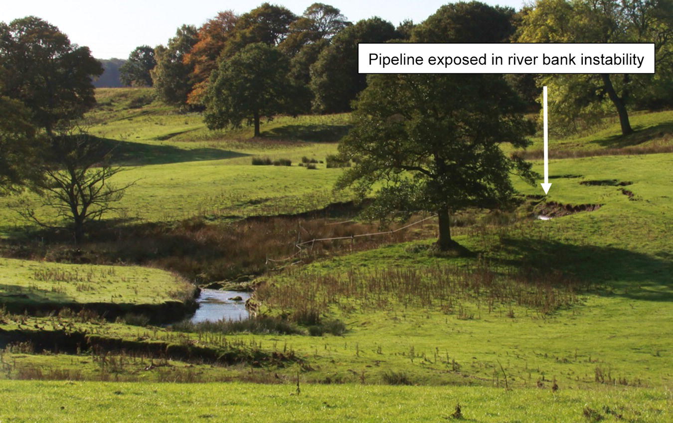 A photograph captures a serene field adorned with trees, accentuated by a prominent sign. The landscape reflects natural beauty while hinting at underlying issues, such as the instability of the riverbank that has exposed a pipeline. Text prominently featured on the sign adds context to the scene, drawing attention to environmental concerns. The composition highlights elements of nature alongside man-made structures, merging outdoor aesthetics with a subtle narrative about land use and ecological balance in this tranquil setting amidst hills.