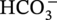 upper H upper C upper O 3 Superscript minus