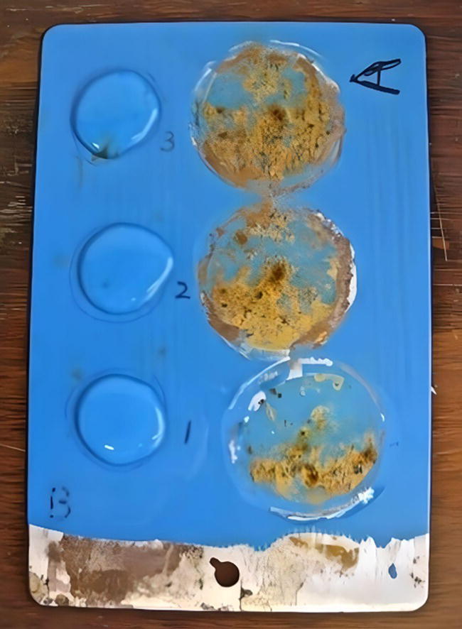 A photograph of a laboratory testing plate with two columns of wells. The left column contains clear liquid, while the right column shows visible changes, such as cloudiness or particle formation, indicating a reaction.