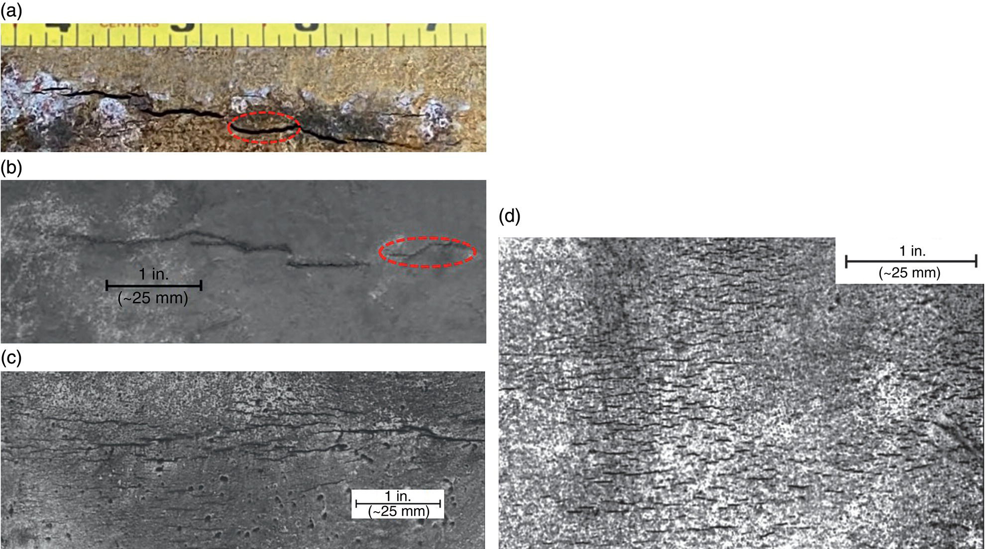 Four microscopic images. A. Outer diameter cracking around a hydroleak, with a few upper-flank cracks highlighted in the circled area. B. An in-service leak, showing crack-free flanks emphasized in the circled area. C. Sparse cracking remote from the origin in the pipe body, illustrating isolated crack formation. D. Dense cracking remote from the origin in the pipe body, showing extensive crack development in a high-p H environment.