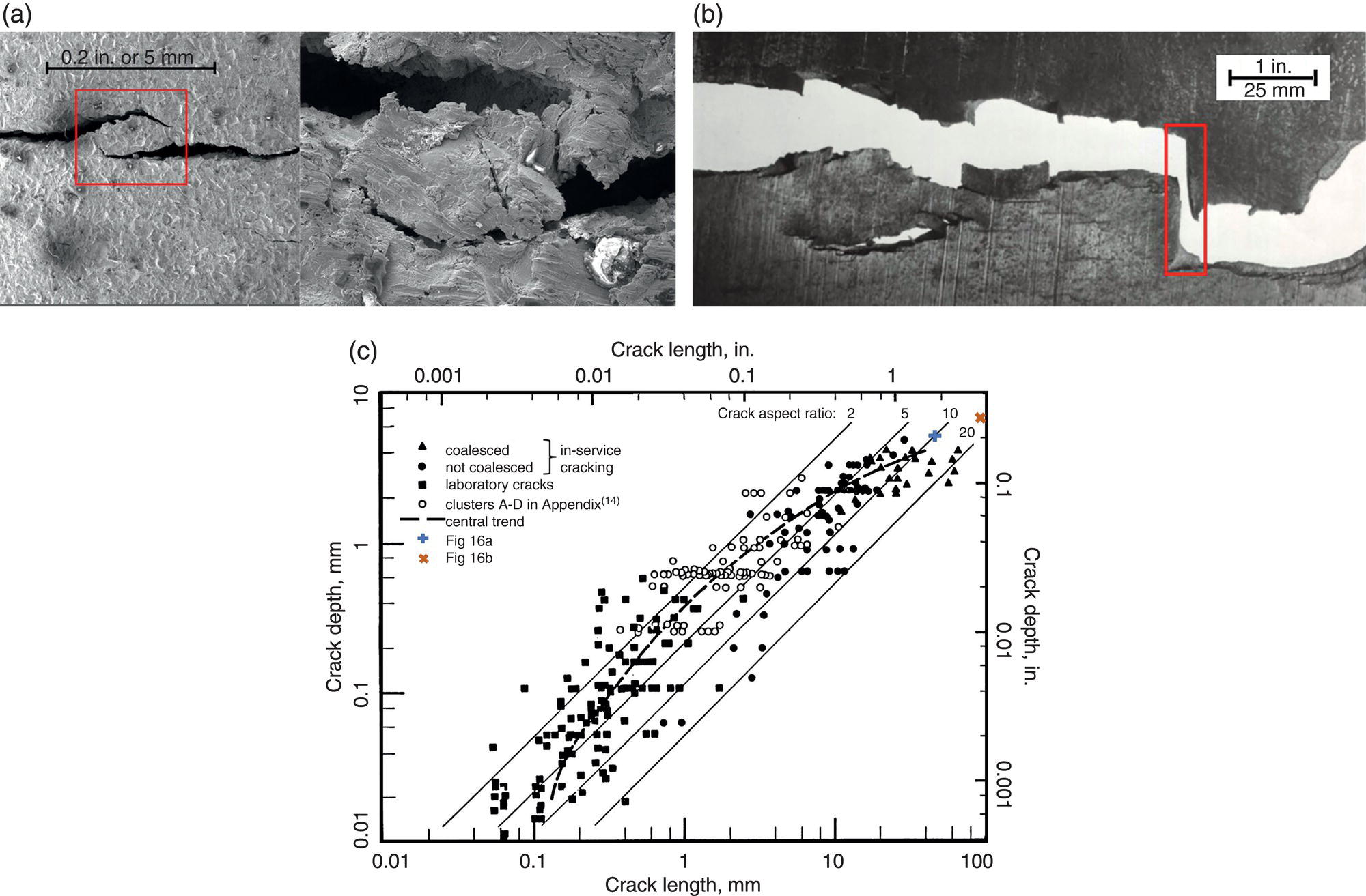 Three images. A. A close-up view of two different cracks nearly coalesced by stress corrosion cracking. B. An image illustrating crack coalescence by S C C followed by unstable tearing. C. A graph depicting coalescence trends as a function of crack size.