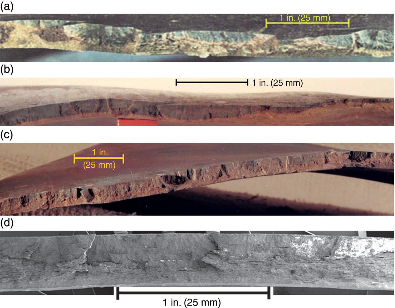Four microscopic images. A. Rupture path segment with several offset features, including two large segments and one noticeable undercut. B. Multiple offset segments along the rupture path, highlighting a very large undercut. C. A scanning electron microscope image showing several offset segments with two evident undercuts. D. A high-magnification view of a rupture path containing many offset segments and several visible undercuts.
