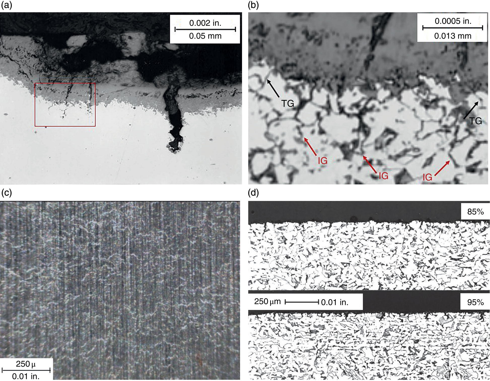 Four images. A. S C C initiation at oxide cracks. B. Etched detail from previous image. C. Grain-boundary etching in a stress-free state. D. Preconditioned and cycled in the environment.