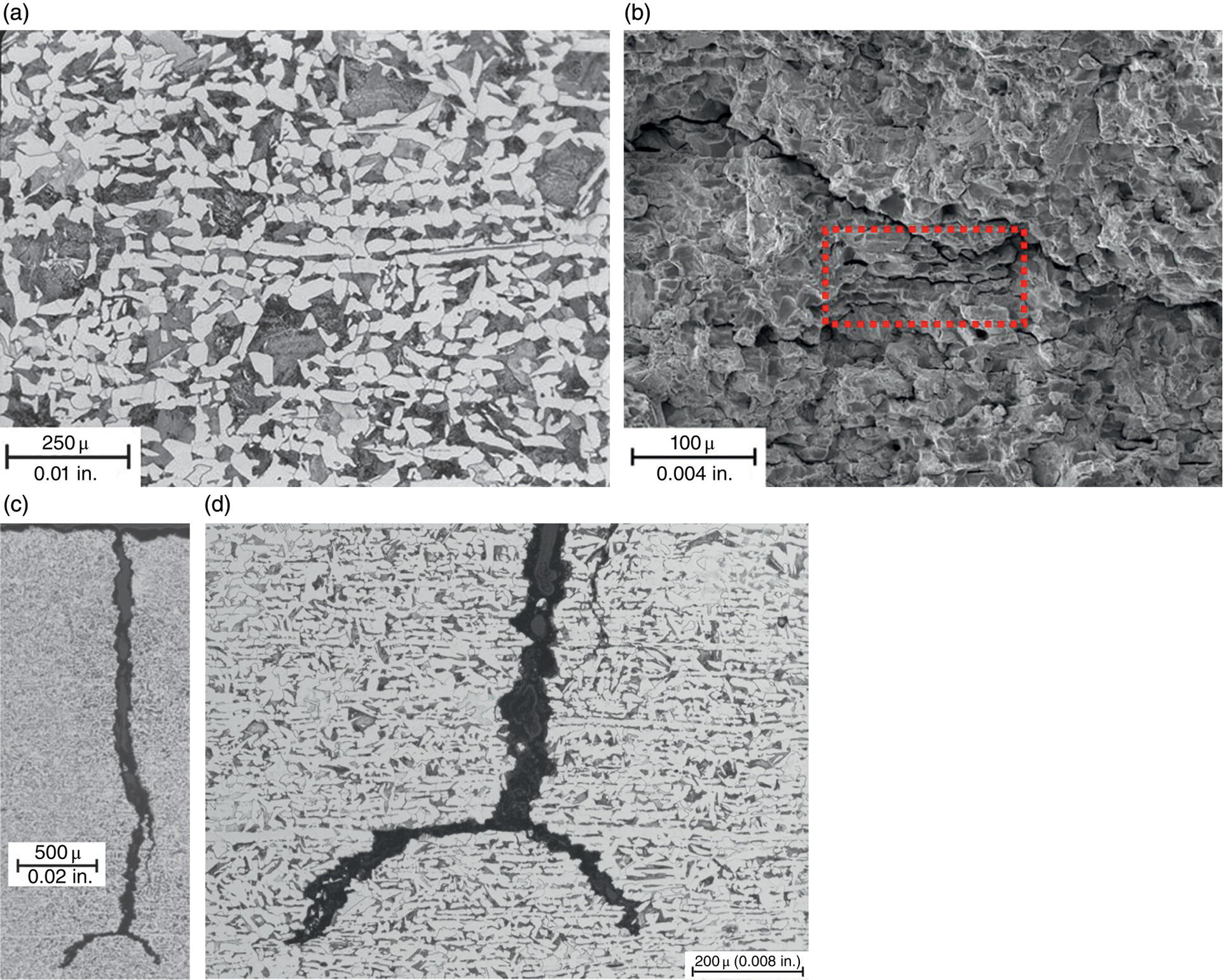 Four images. A. Banded ferrite-pearlite microstructure. B. Transgranular cracking crossing banding in a high-p H environment. C. Crack bifurcation influenced by banding. D. Close-up of the crack tip.