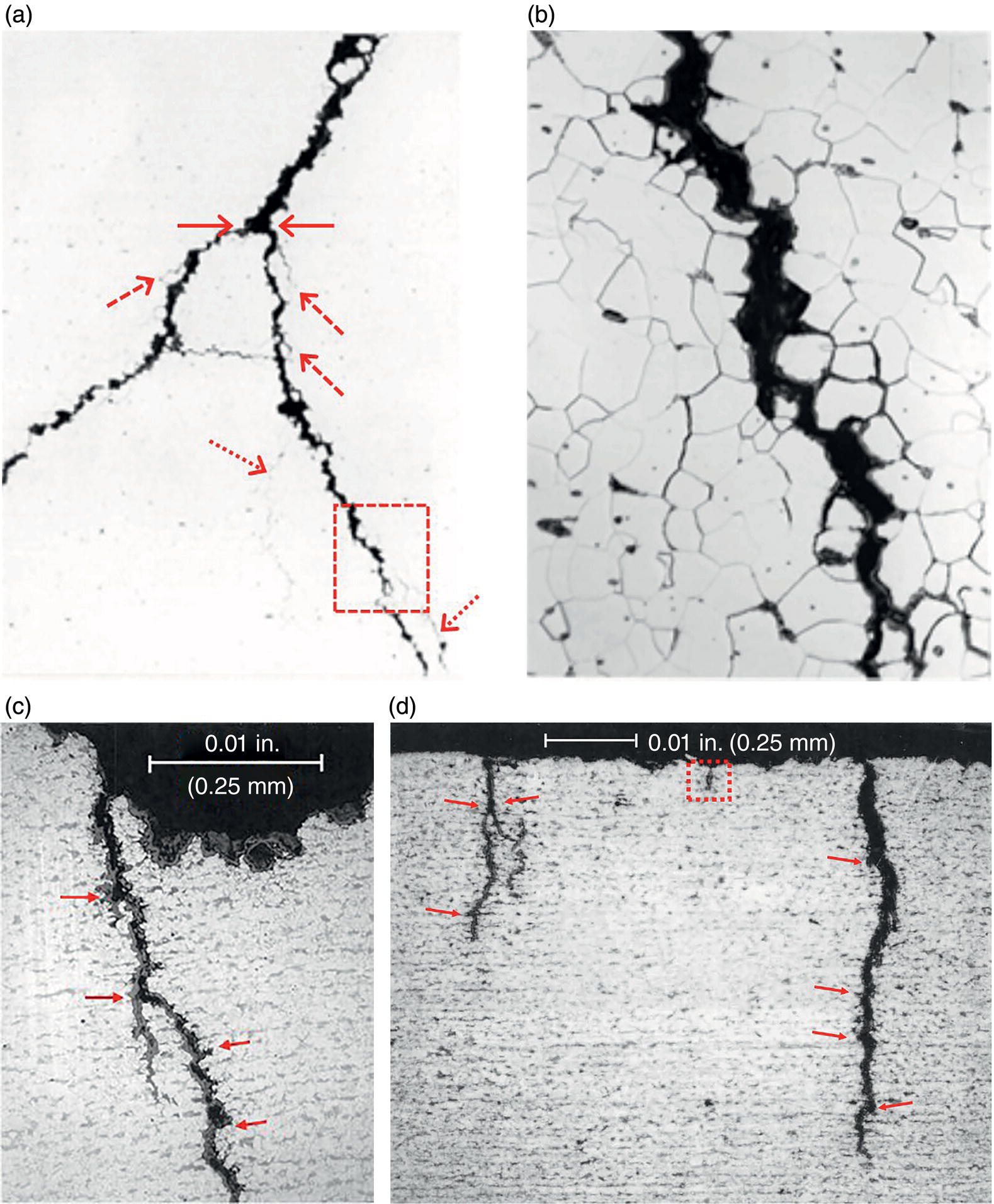 Four images. A. As-polished view of intergranular cracking showing crack bifurcation. B. Lightly etched detail, highlighting microstructural influence. C. Lightly etched view of transgranular cracking. D. Similar microstructural effects observed in T G cracking.