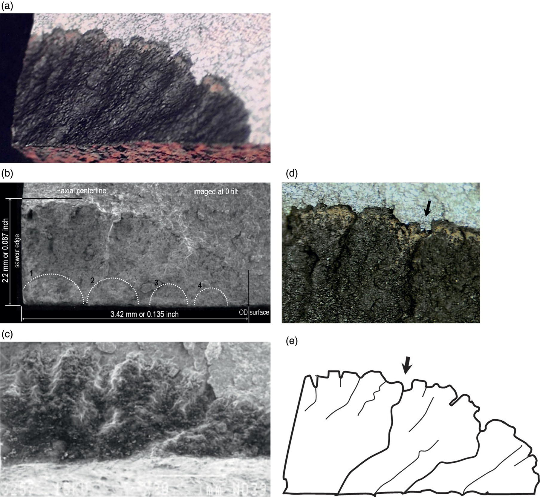 Five images of the perspective view, S E M image with dimensional details, crack growth history over a large segment, close-up color image, and schematic of crack progression.
