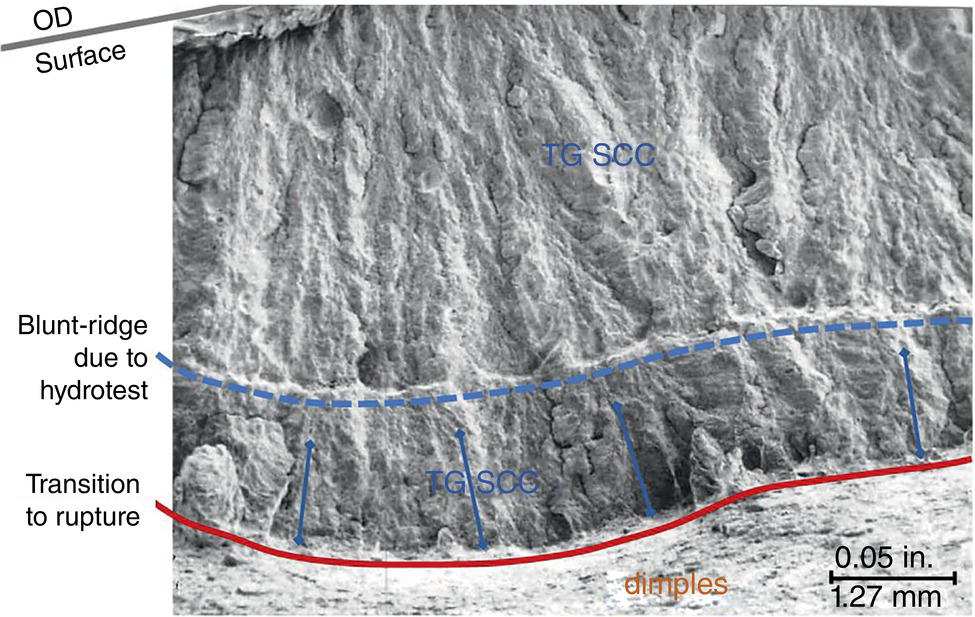 An illustration of hydrotesting outcomes where T G S C C was present before testing, showing the effects on crack morphology and potential blunting.