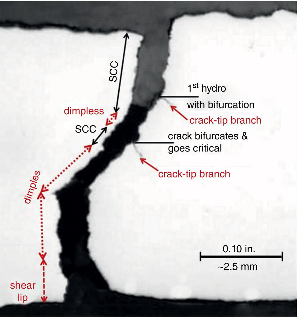 An illustration of hydrotesting outcomes for T G S C C, showing crack bifurcations leading to rupture.